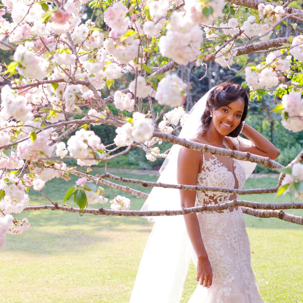white flowers at Beechwood Gardens in Hyde Park Sandton