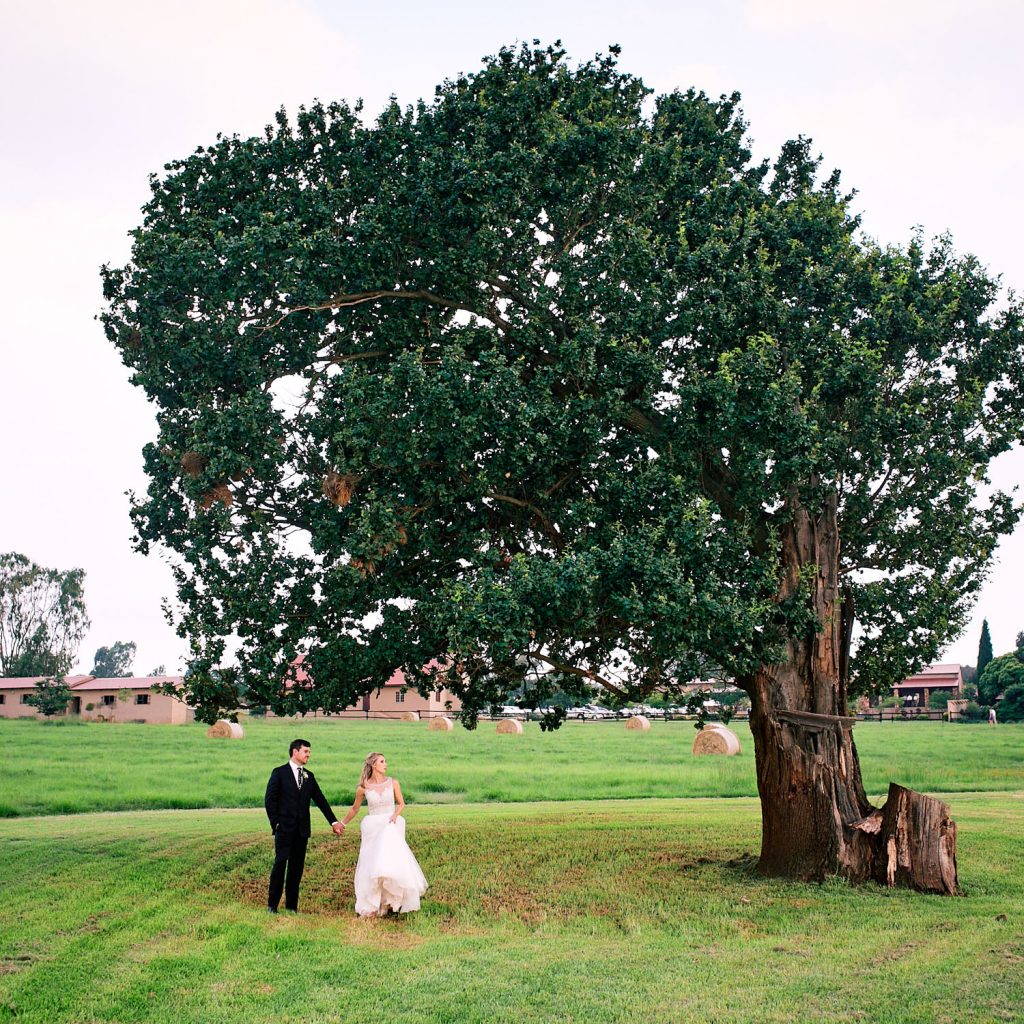 Weddings Heidelberg Lezar Opstal couple walking under the oak tree